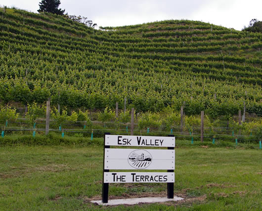 New Zealands Vineyards Part 10 Esk Valley