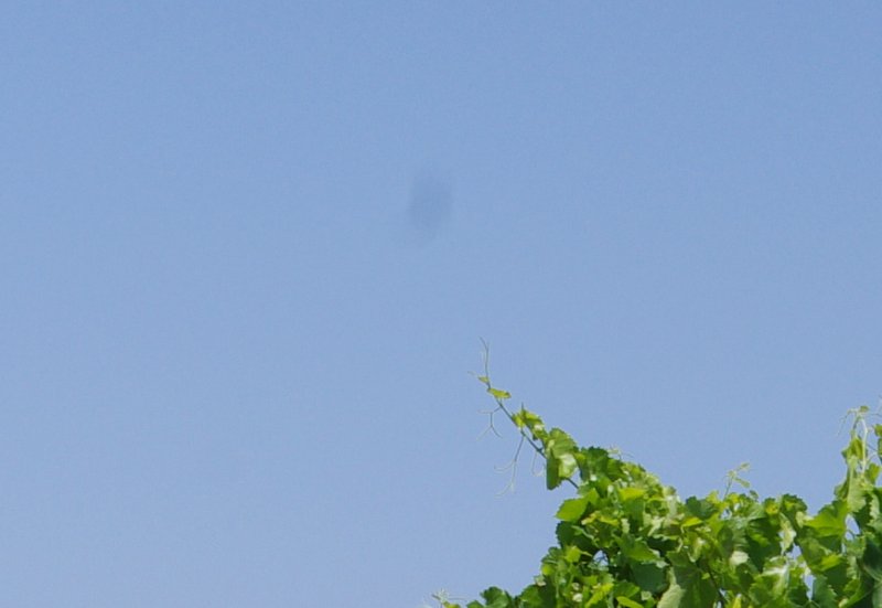 Comment Image