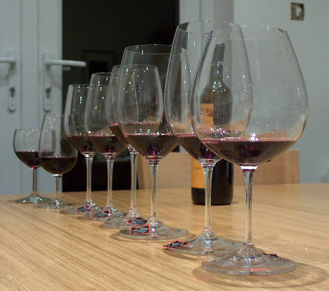 different wine glasses