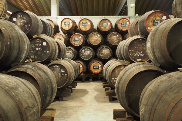 barrels wine