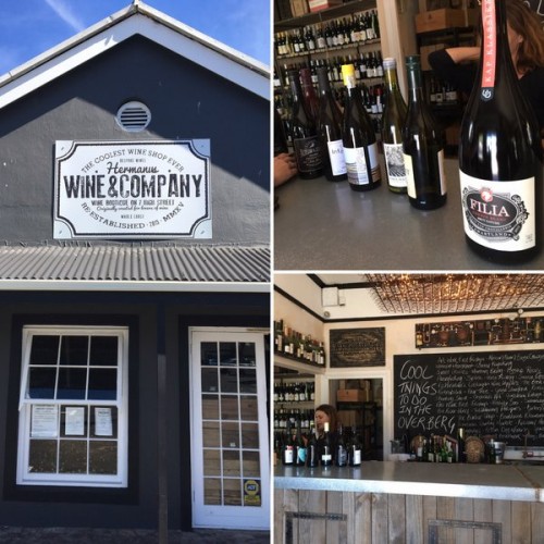 wine shop near me open now today