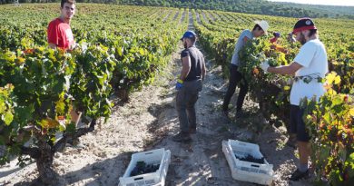 Digital aggregation and the quiet restructuring of Europe’s fine wine distribution