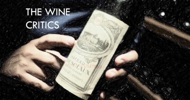 the wine critics novel