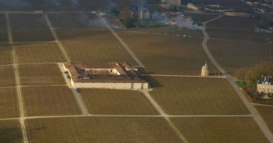 As the Michelin Guide turns to wine with its three-grape rating system, here are the big questions