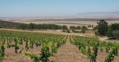 Wine and travel as competitive sports