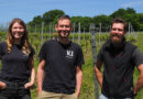 Black Chalk: visiting one of the UK’s leading sparkling wineries