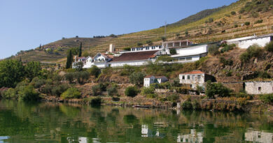 The wines of Quinta de La Rosa, Douro, Portugal