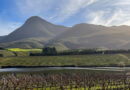Creation, one of the leading wineries from South Africa’s cool-climate Hemel-en-Aarde region