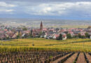 Video: exploring the wines of Alsace with Lars Daniels, final day
