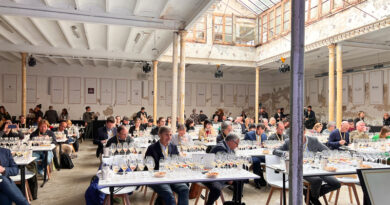 The inaugural Cava Meeting: a serious, focused event looking at this important sparkling wine