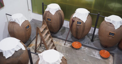 Video: reviving the tradition of making wines in amphora in the  Alentejo, Portugal