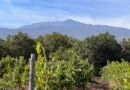 A focus on Etna, the ultimate volcanic wine region