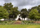Boschendal, an important South African winery