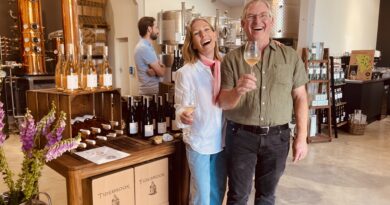 South Africa in England: we taste the inaugural gold medal winning vintage of Tidebrook Wines, from medieval Mousehall, the Jordan winery and distillery in Mayfield, East Sussex