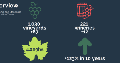 More than 1000 vineyards and 4209 hectares under vine: UK wine production continues to grow