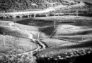 Gallery: the Douro in black and white