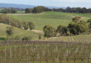 Hickinbotham: some impressive wines from a special site in South Australia’s McLaren Vale