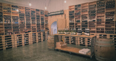 Wines from Emmanuel Giboulot, Bourgogne, tasted at Dynamic Vines