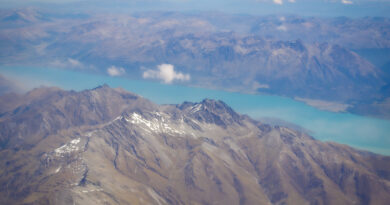 A quick guide to New Zealand wine