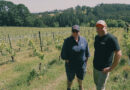 Tarrawarra winery, Yarra Valley