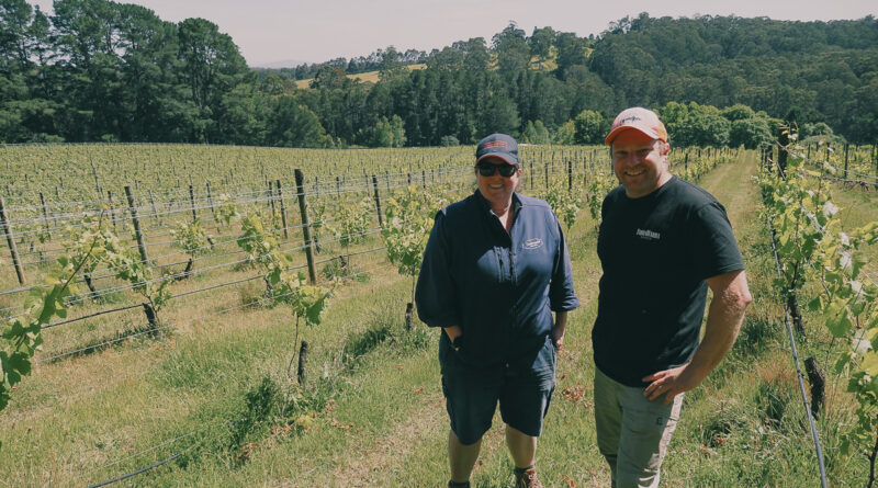 Tarrawarra winery, Yarra Valley