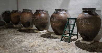 Amphora wine day, celebrating wines made in clay, part 2