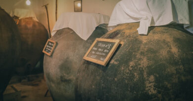 The amphora wine day at Rocim in Portugal's Alentejo wine region