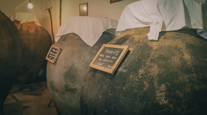 The amphora wine day at Rocim in Portugal's Alentejo wine region