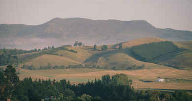 New Zealand’s North Canterbury region is making some of the country’s most interesting wines (1) introduction