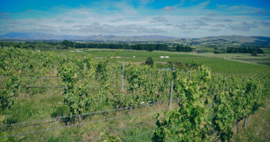 North Canterbury, New Zealand (3) Black Estate