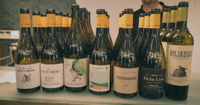 The impressive wines of Herdade do Rocim and its associated projects, among Portugal’s best