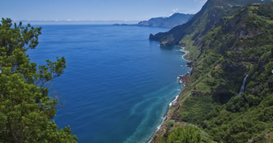 THE STORY OF MADEIRA 