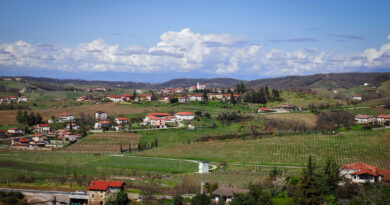 Slovenia: Bjana is an exciting sparkling wine project in Brda