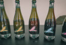 Camillo Donati, natural sparkling wines from Emilia Romagna