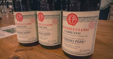 The 2022s from Abruzzo star winery Emidio Pepe