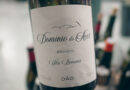 Domínio Do Açor, an exciting new producer from Dão, Portugal