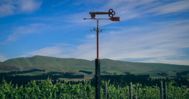 North Canterbury, New Zealand (7) Georges Road