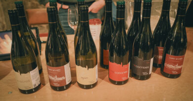 Domaine Colombet: impressive wines from Saint Joseph in the northern Rhône