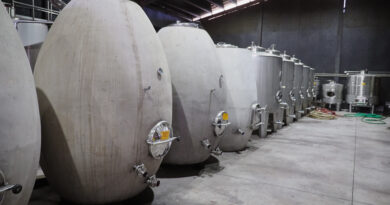 Maturana, an exciting boutique Chilean winery