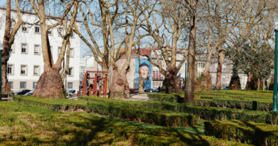 Porto in pictures, with a short film