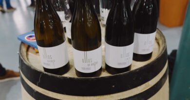 Augalevada, a star from Spain’s Ribeiro