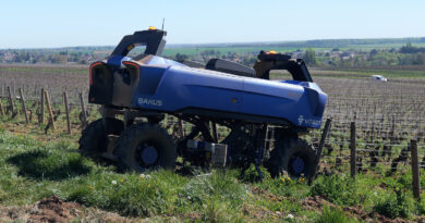 Videos: Robots in the vineyard, new technology applied