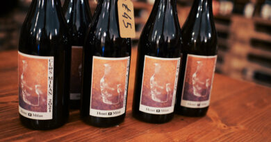 Domaine Milan, making impressive natural wines in Provence