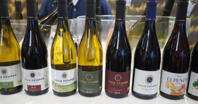 Impressive Dão wines from Julia Kemper