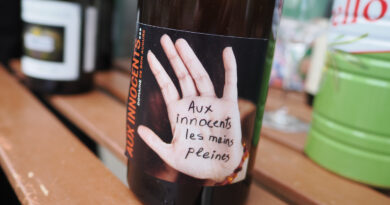 Domaine de Bon Augure, an exciting wine estate in the Languedoc with very interesting soils