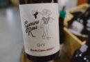 Gamine Rose, innovative wines from the Dão and Douro