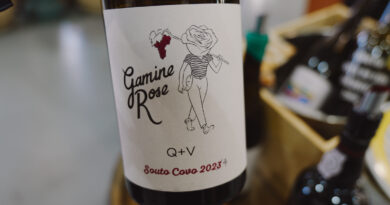 Gamine Rose, innovative wines from the Dão and Douro
