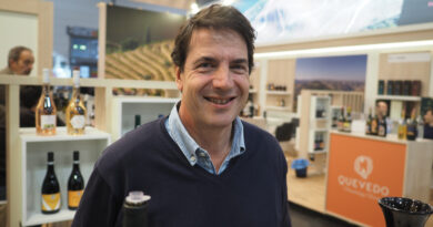 Valldo: impressive Douro wines, including some great value options