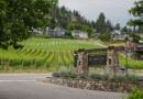 Canada’s Okanagan and Similkameen Valleys (5) Quails’ Gate
