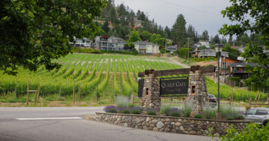 Canada’s Okanagan and Similkameen Valleys (5) Quails’ Gate